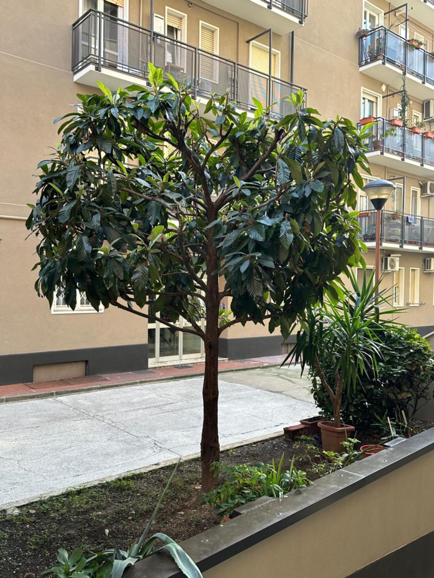 Nolo62, A Nifty Flat In Milan Apartamento Exterior foto